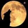 Black_wolf