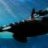 ballena
