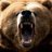 Grizzly