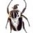 goliathus