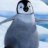 pingüinito