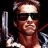 terminator 12