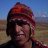 Paul_guanaco