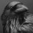 elcuervo_cur1234