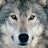 Vonwolf2