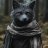 BlackFox