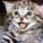 Gatico